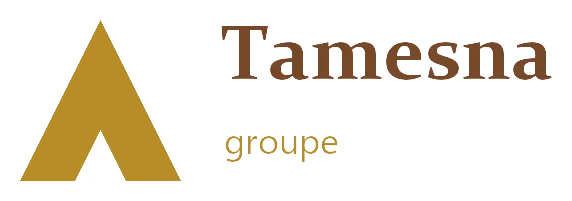 Groupe Tamesna